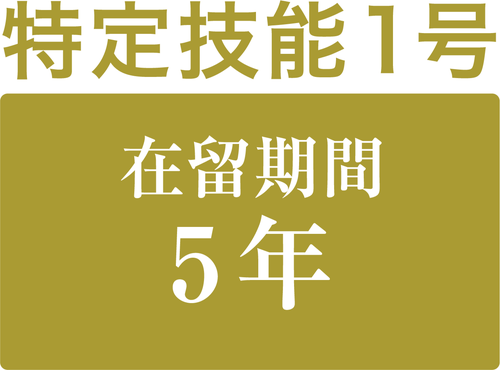特定技能